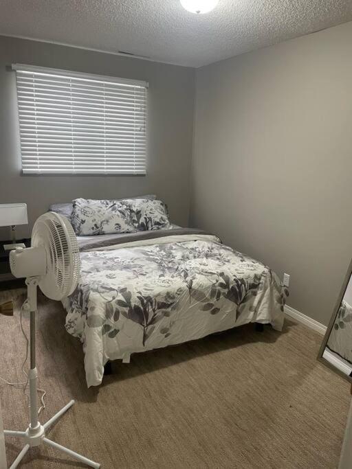 Wonderful 2-Bedroom Apartment Camrose Dış mekan fotoğraf